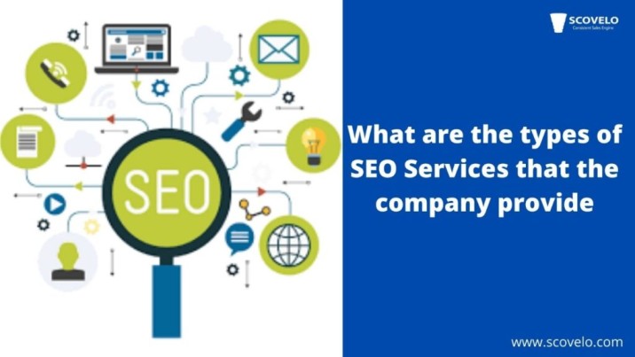 What are the types of seo service that the company  provide
